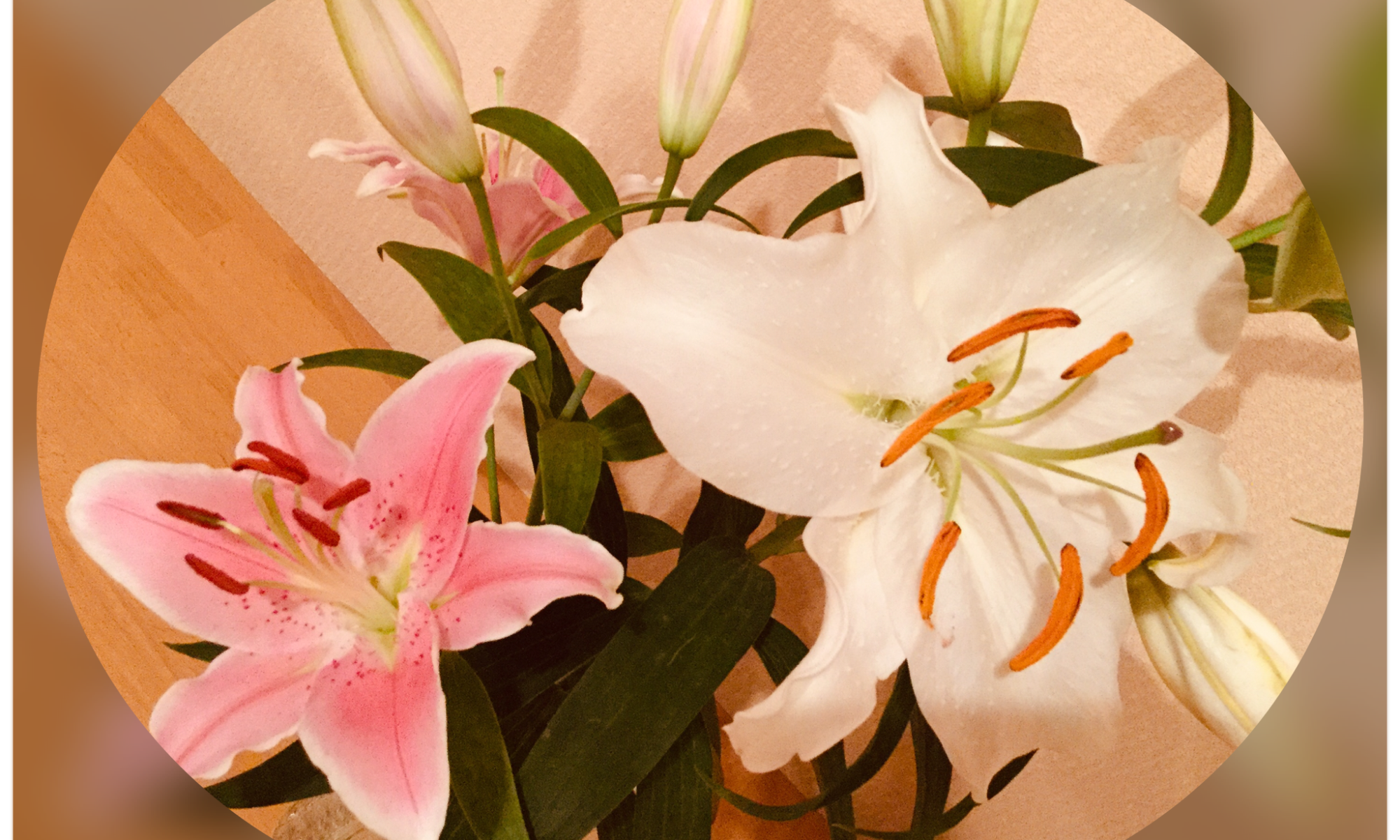 ゆりの花の良い香り2 カサブランカ Kyokoブログ